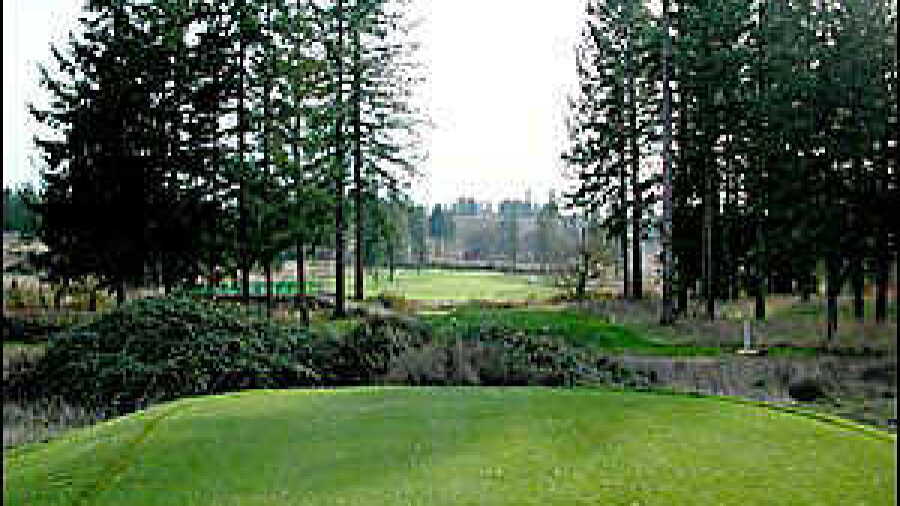 Mallard Creek #5