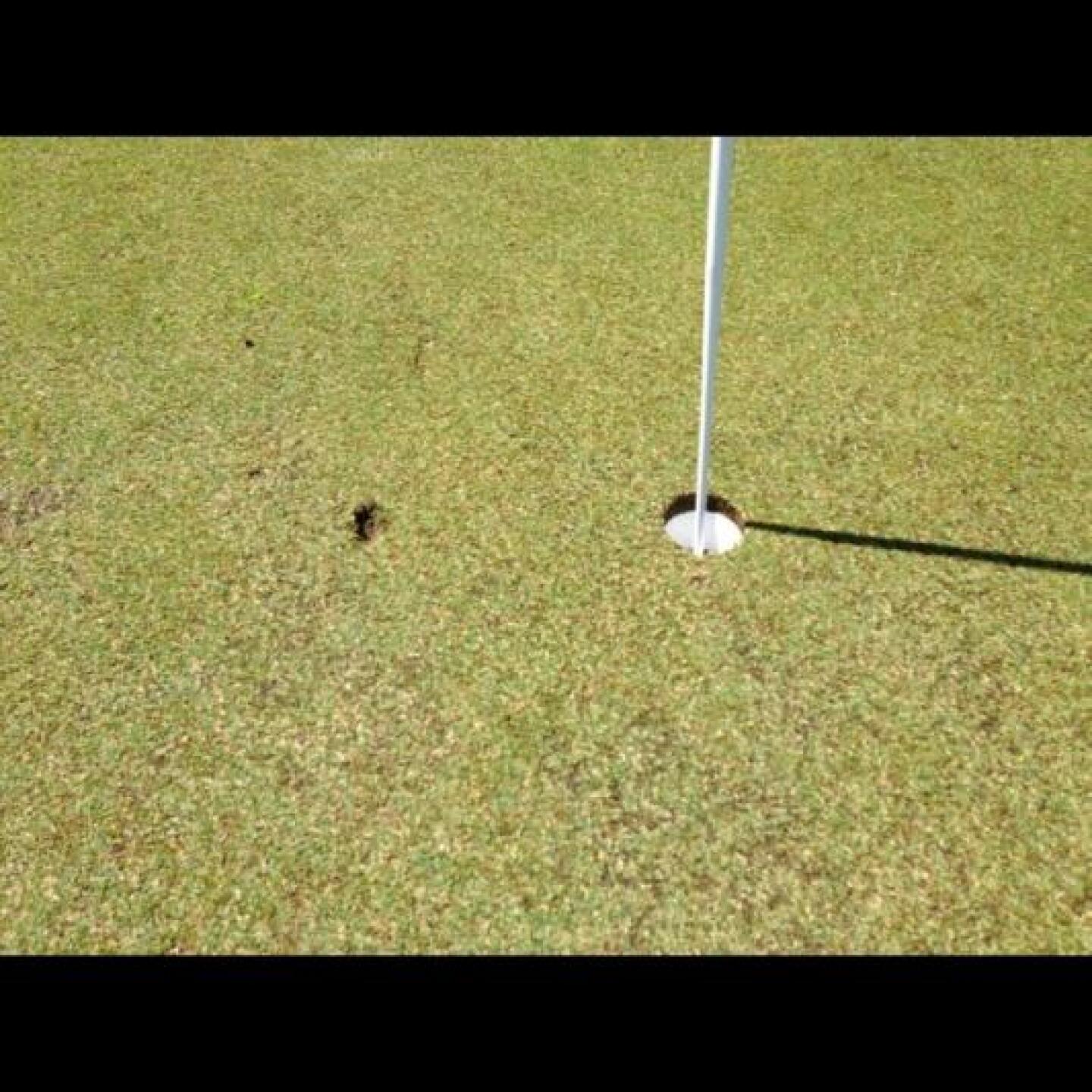 Another 6iron almost perfectly on its mark! (Photo submitted by u000006818584 on 06/06/2013)