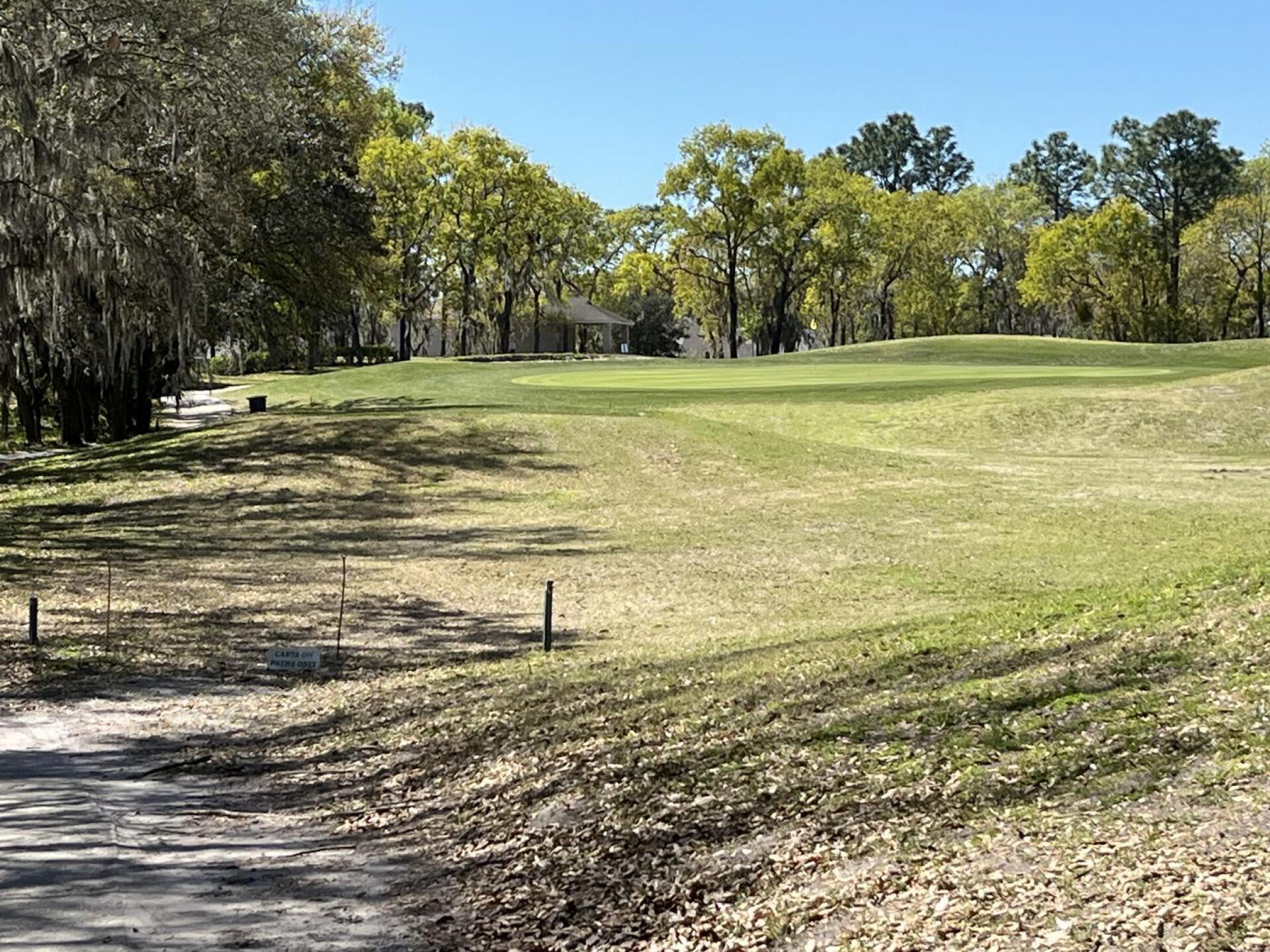 Back nine is amazing! (Photo submitted by artiestar2 on 03/26/2025)