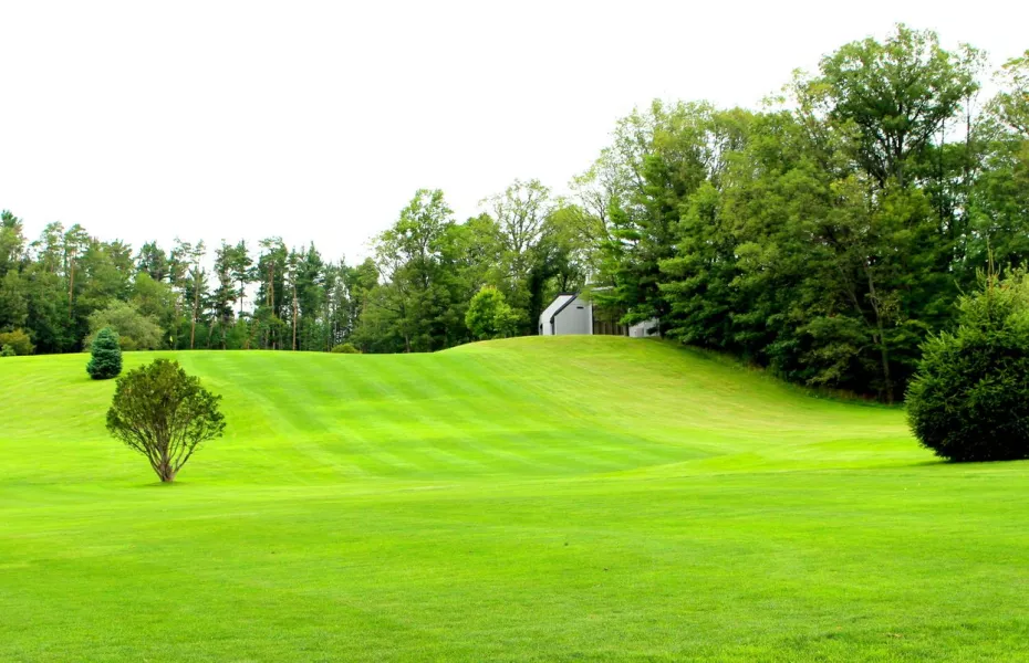 Executive at Newberry CC