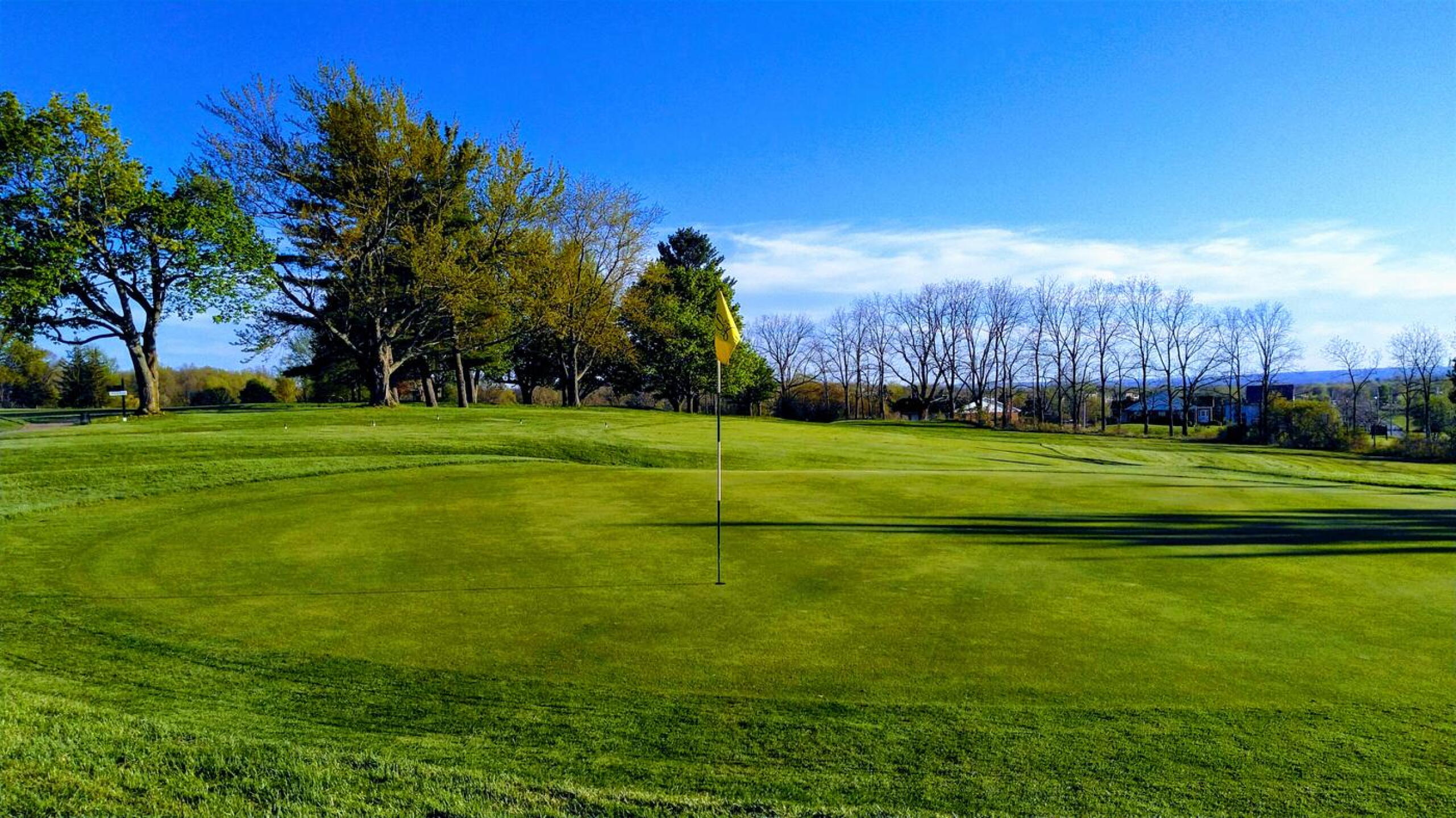 Nine green (Photo submitted by ZzwAZX3GEs7nLq8gu8DQ on 05/24/2020)