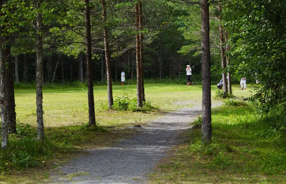 Svanskogens Golf: #2