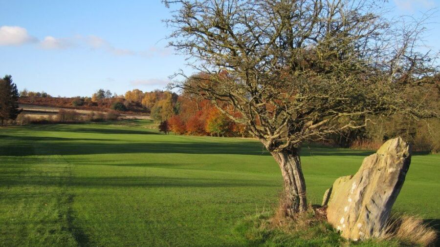 Matlock GC: #10