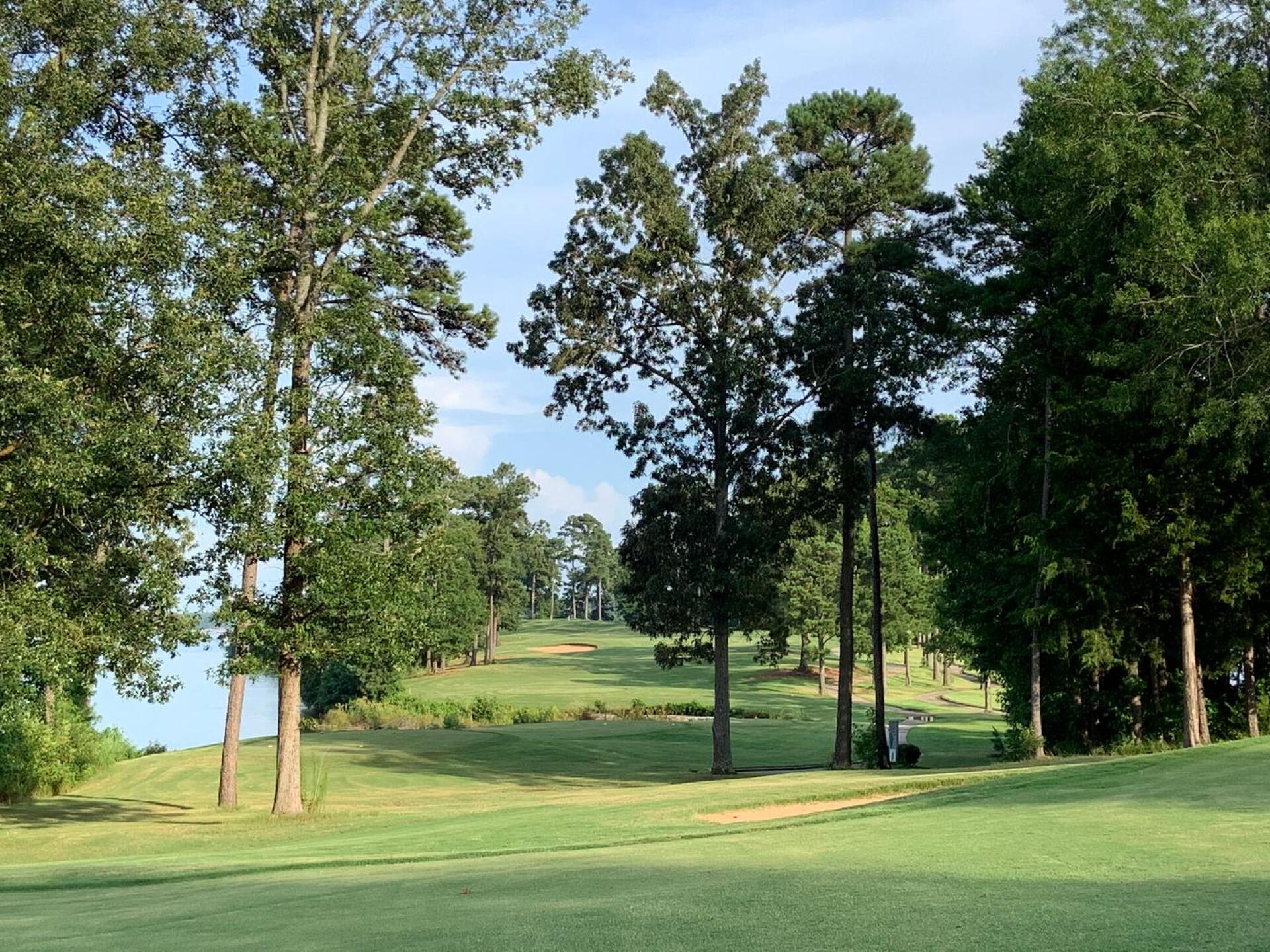 (Photo submitted by danhku on 09/14/2020)