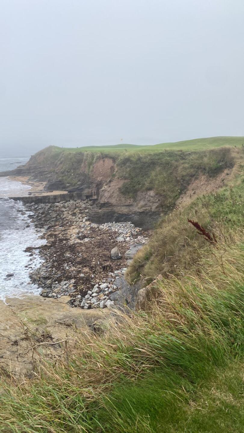 (Photo submitted by mickymac79 on 09/08/2024)