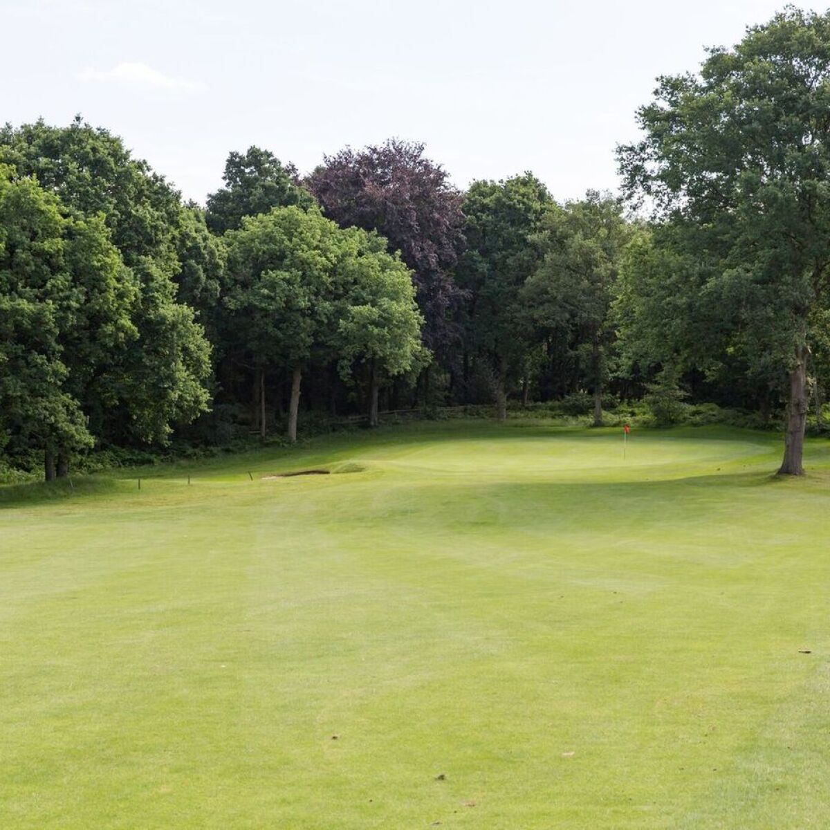 Worksop Golf Club in Worksop, Bassetlaw, England GolfPass