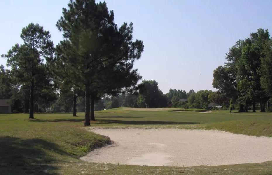 Shannon Greens GC: #3