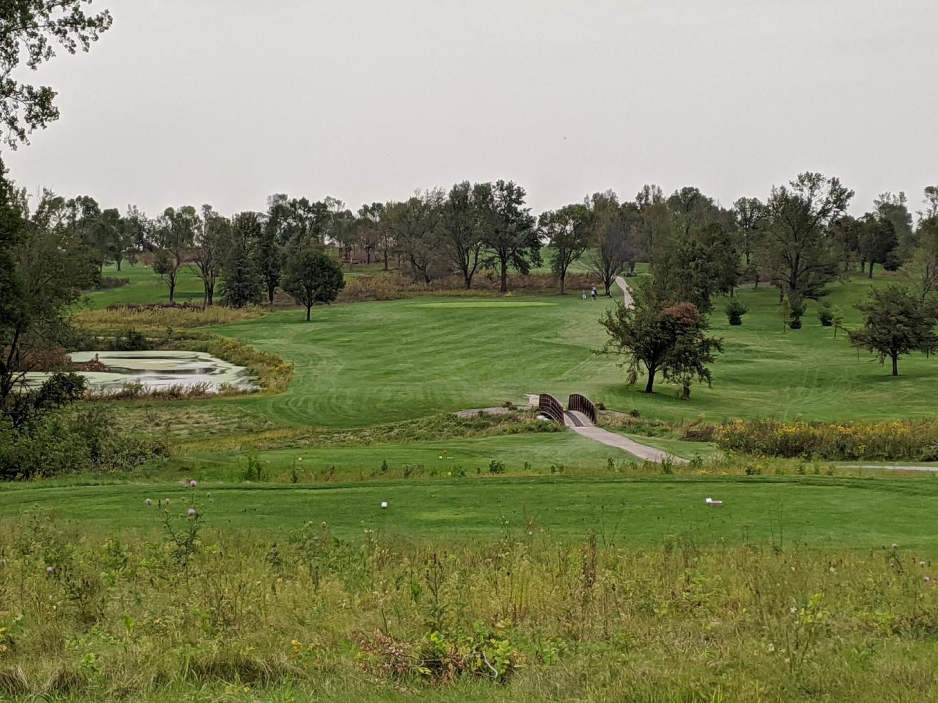 Hole 5 - a strong par 4 (Photo submitted by GolferJake78 on 09/17/2020)