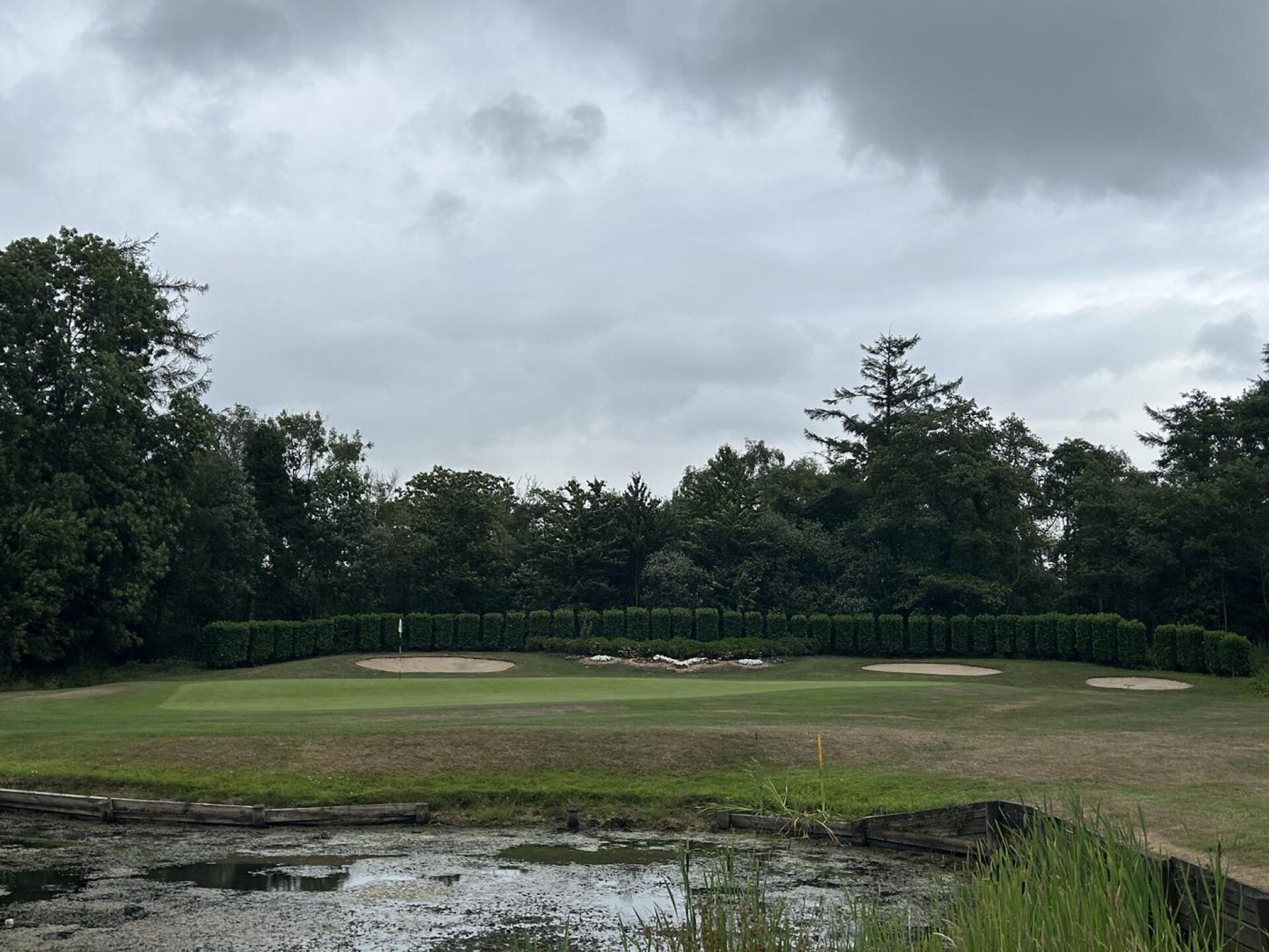 (Photo submitted by u322995027 on 06/28/2023)