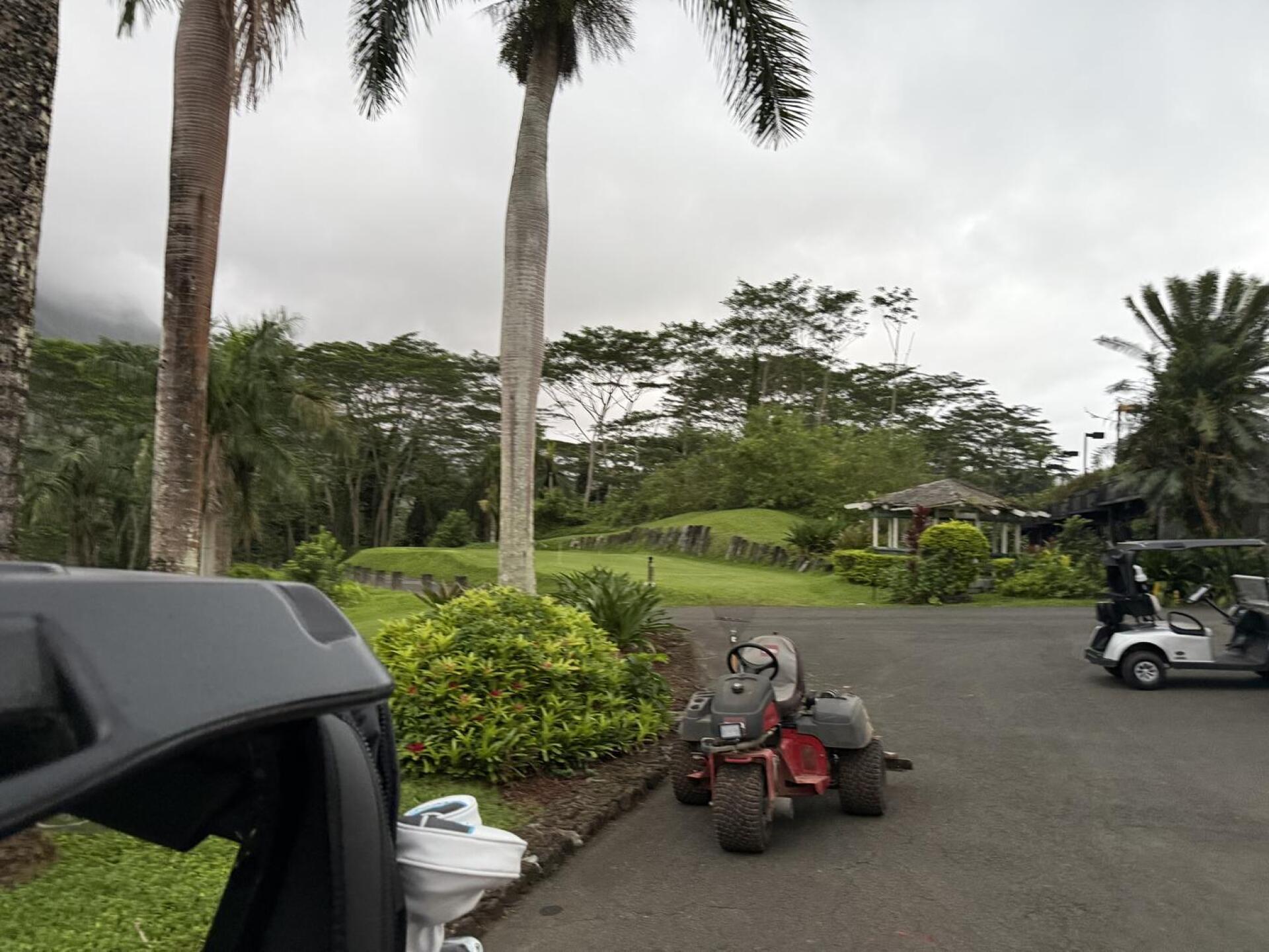 (Photo submitted by u314164867747 on 03/08/2026)