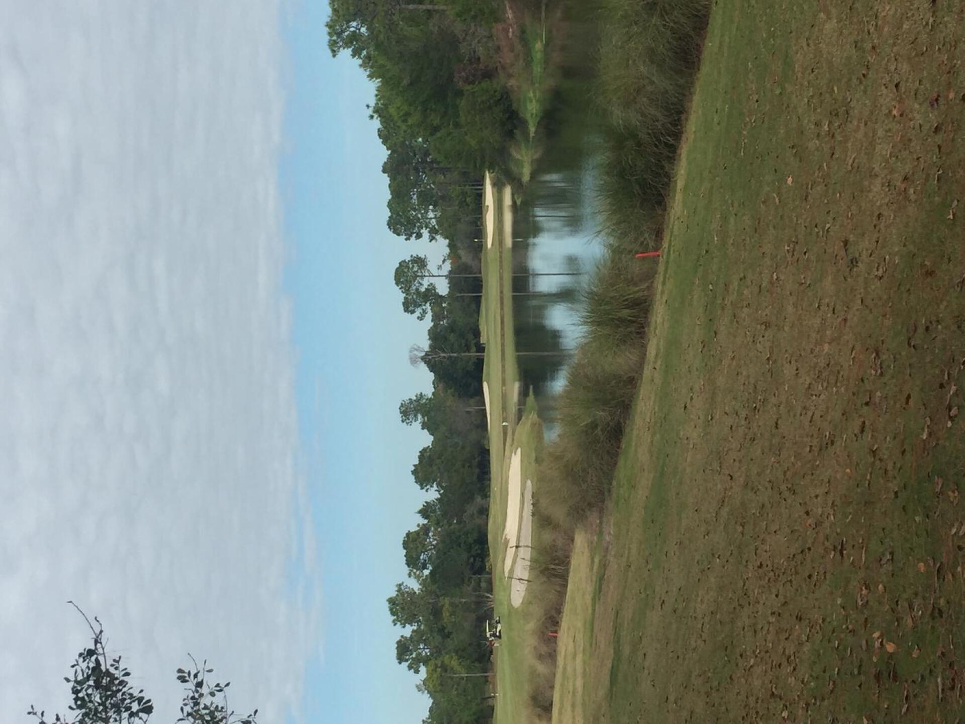 (Photo submitted by SCDoc on 12/26/2016)