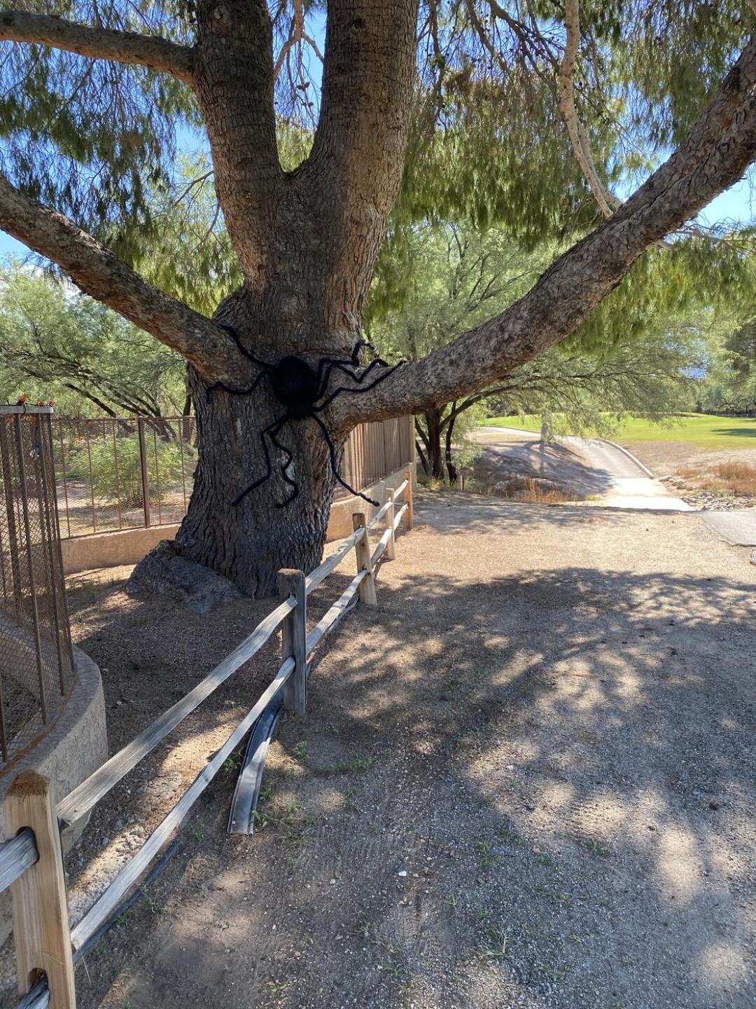 (Photo submitted by Jim49S on 10/12/2022)