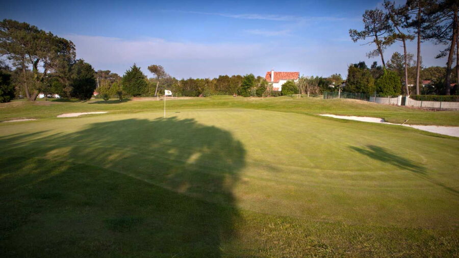 Chiberta GC - Imperatrice: #5