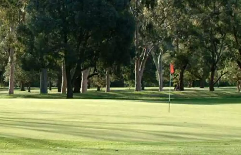 Wattle Park GC