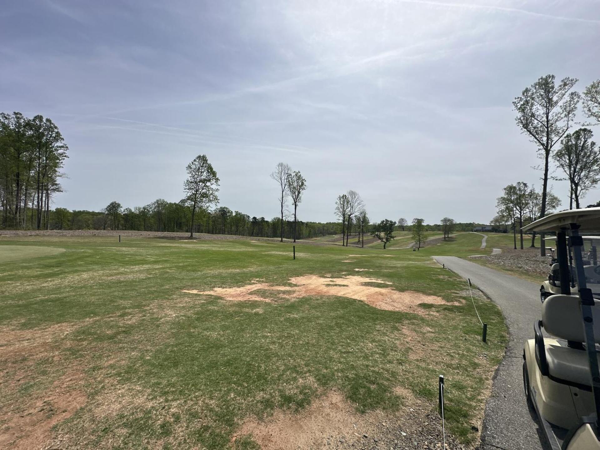 (Photo submitted by spiderfly916 on 04/09/2026)