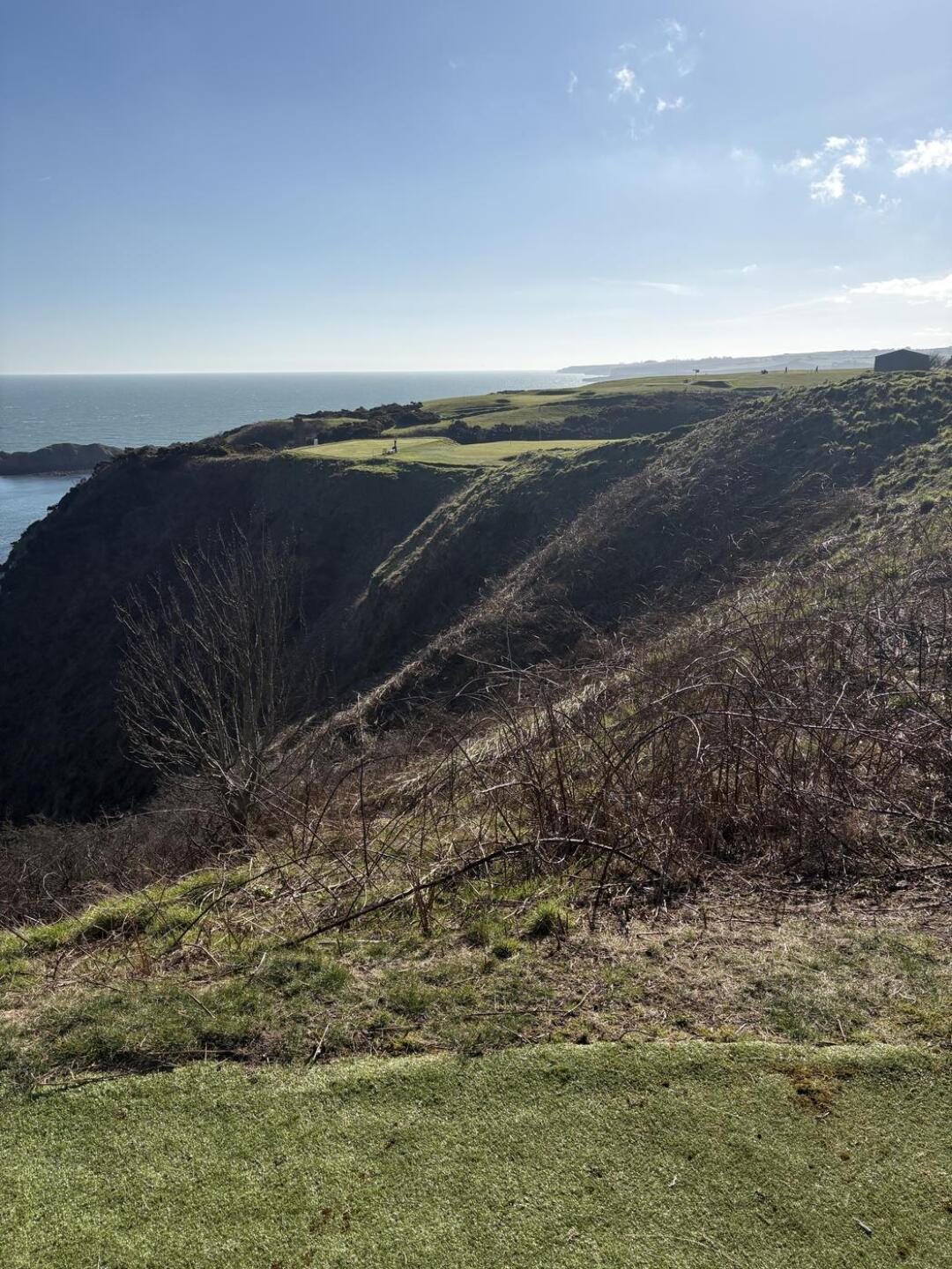 (Photo submitted by u961276027 on 03/08/2026)