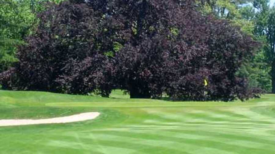 Blind Brook Club