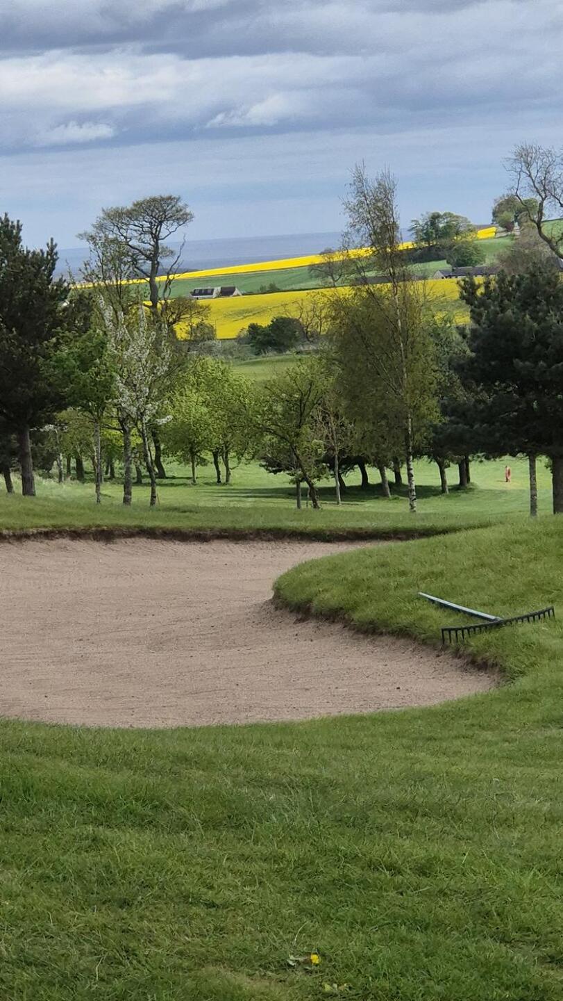 (Photo submitted by u314163107075 on 05/03/2025)