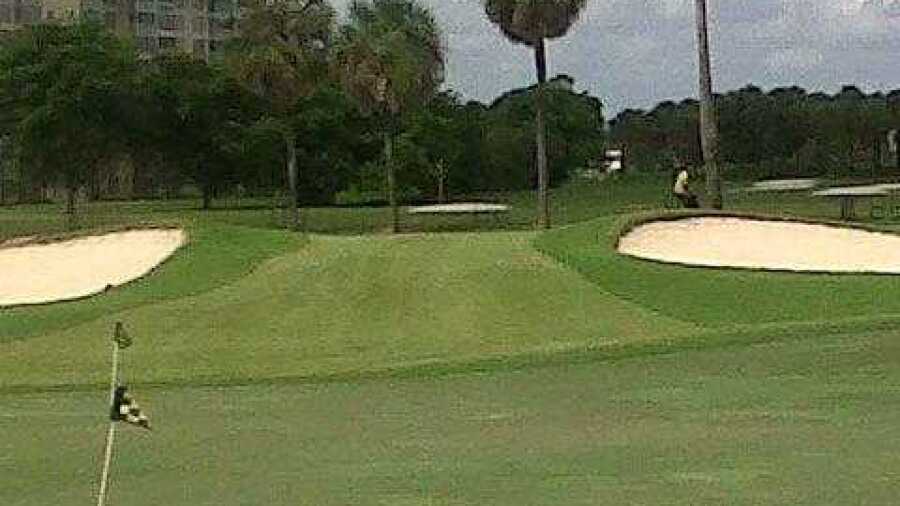 Palm-Aire CC - Palms: Practice area
