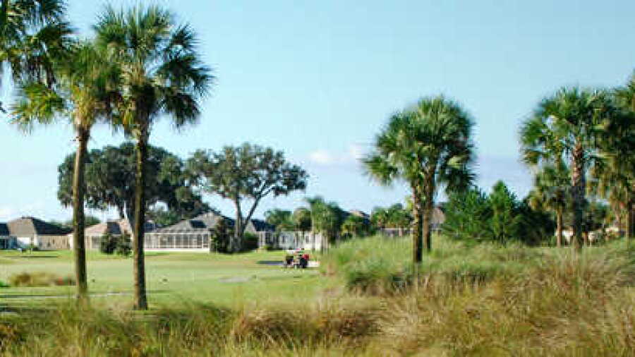 Pelican at The Villages Executive Golf Trail