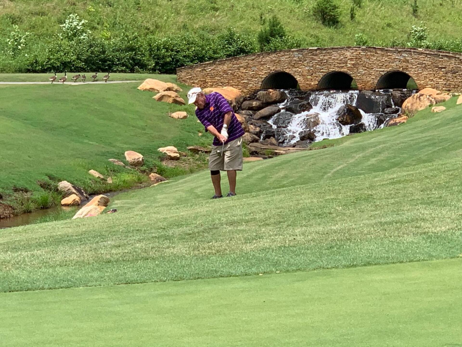 (Photo submitted by u000007955813 on 06/06/2019)