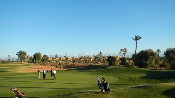 Amelkis GC
