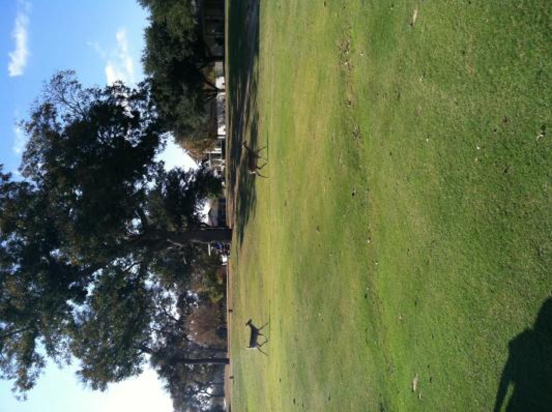 (Photo submitted by kingedward81 on 11/30/2012)