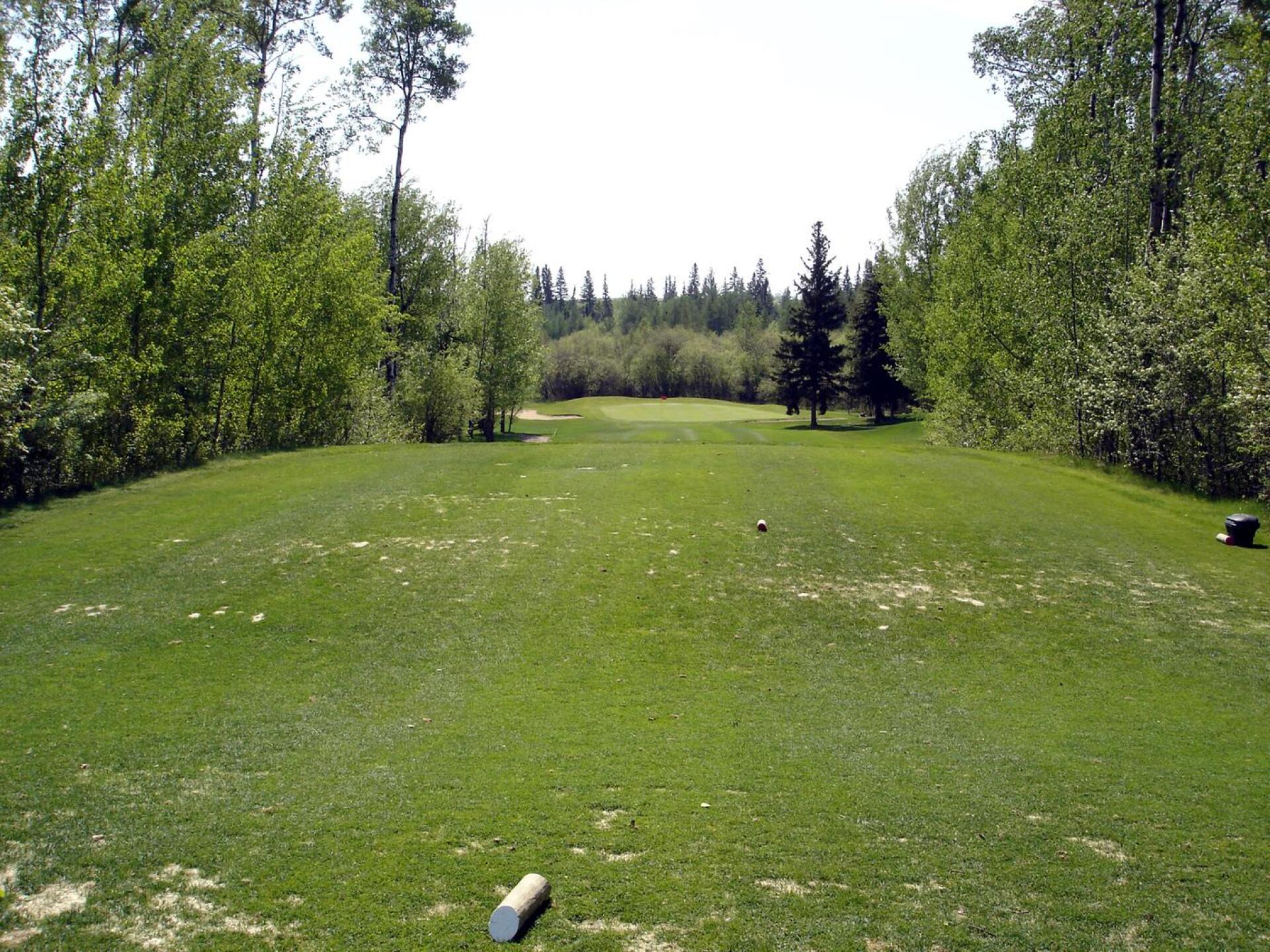 Grand Centre G&CC, Hole 7, Par 3, 159 yds (Photo submitted by DYakimec on 06/25/2018)