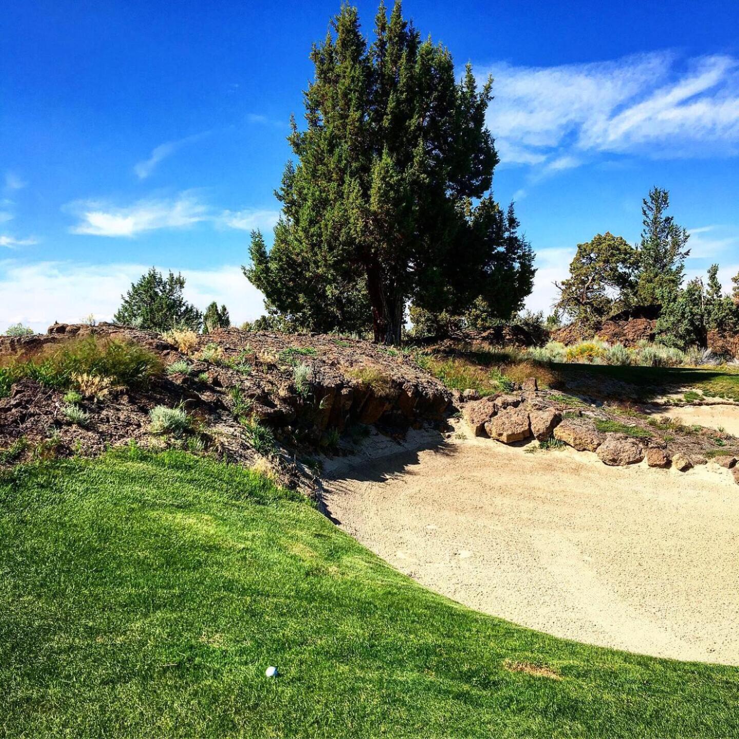 Challenging Lies (Photo submitted by u1135234 on 08/19/2019)