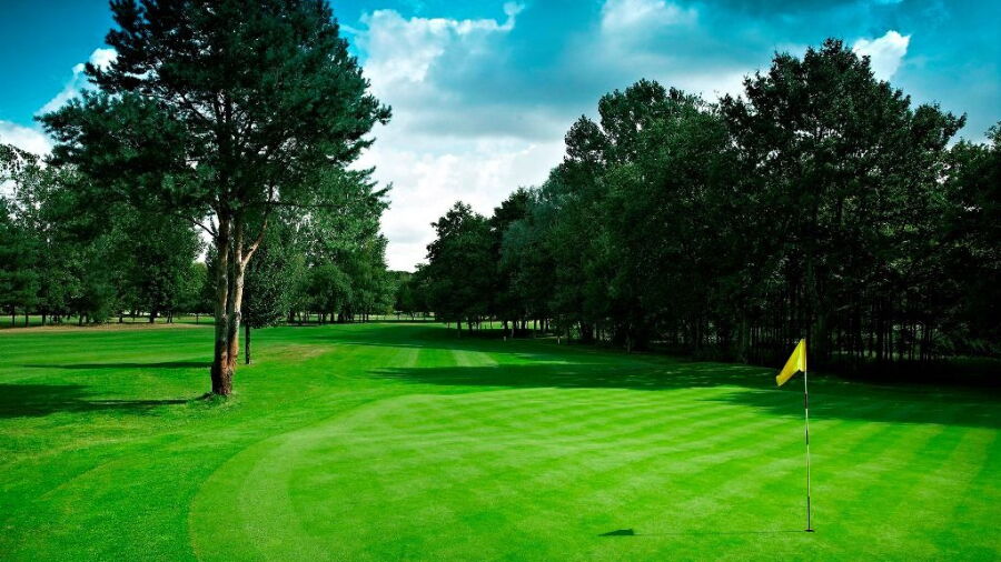 Tongelreep GCC