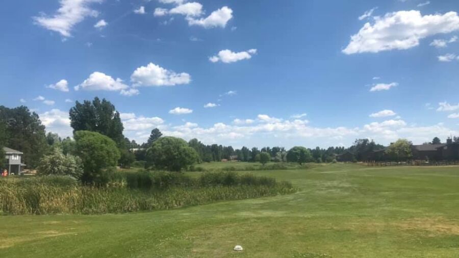 Bison GC