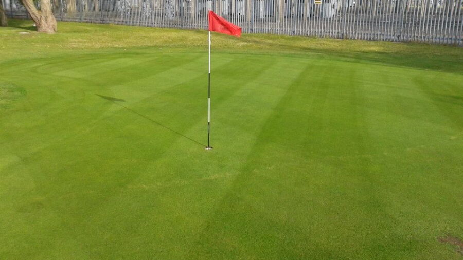 Greenfield GC: #1