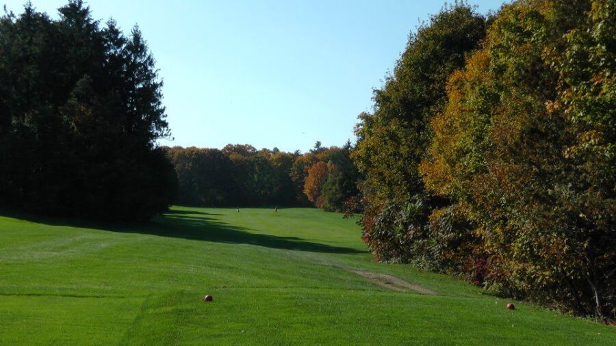 Allandale GC: #8