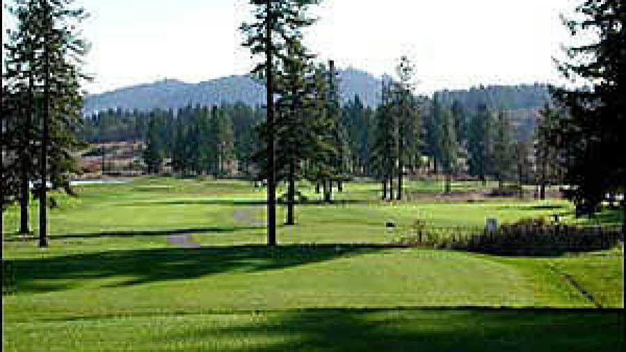 Mallard Creek #17