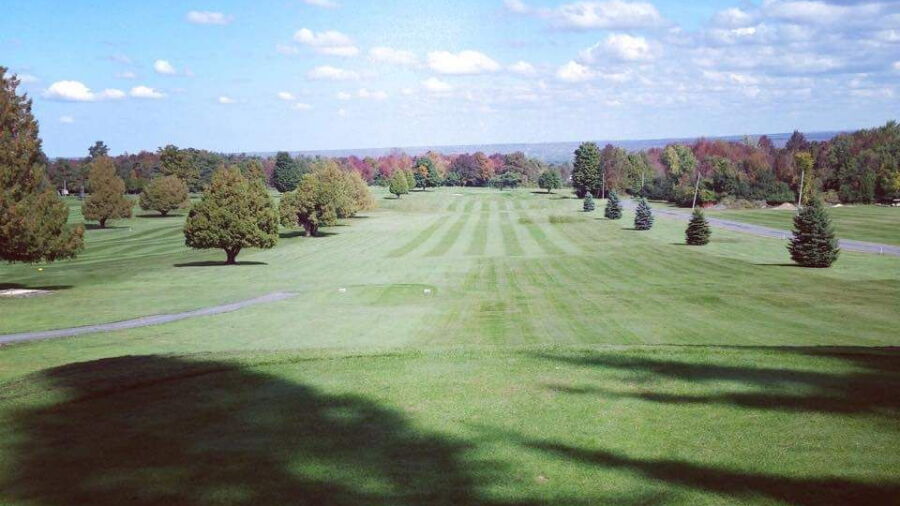Carlowden CC