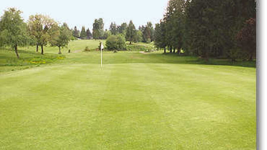 St Helen's #2