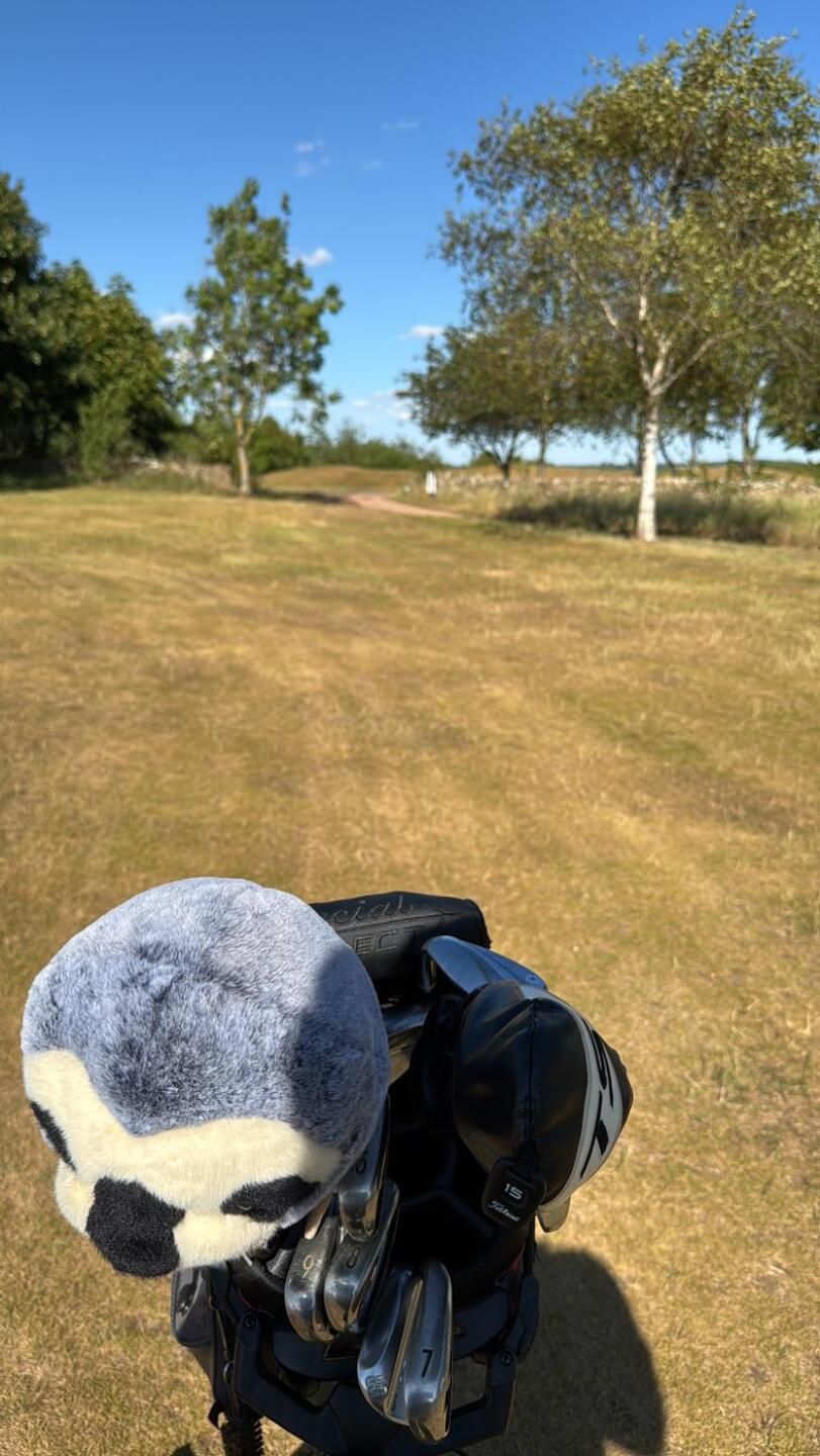 (Photo submitted by Fendtski on 07/03/2025)