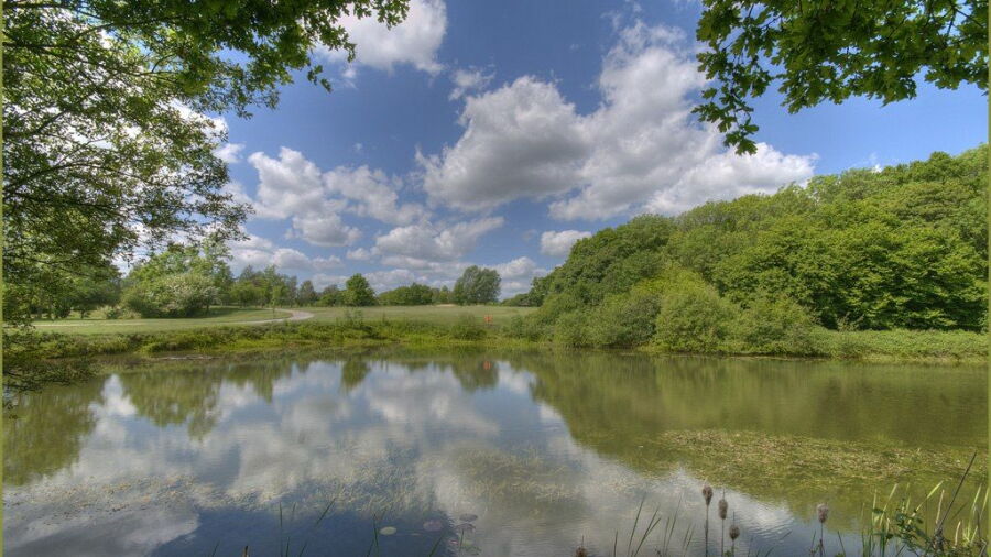 Bearsted GC