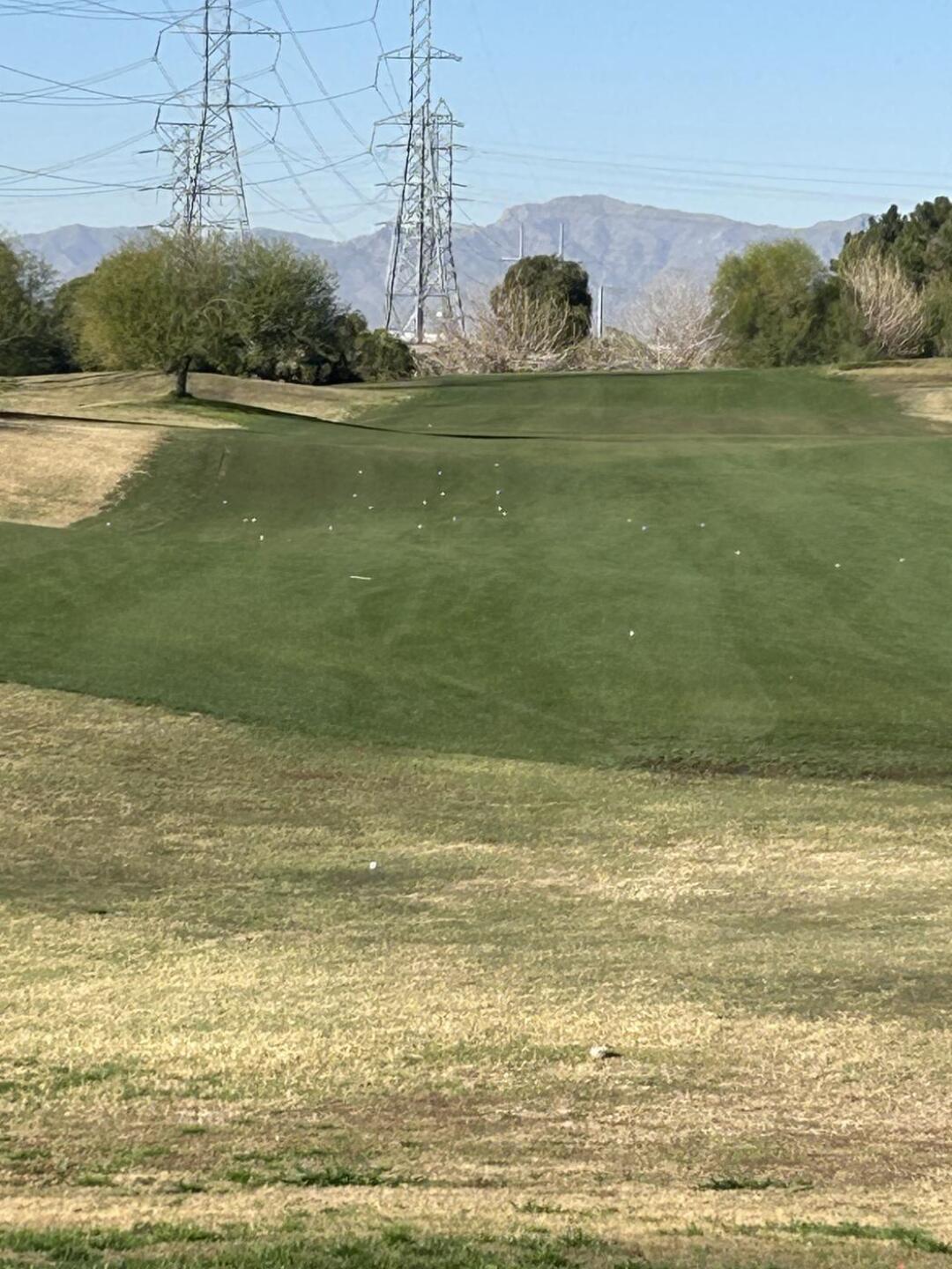 #10 (Photo submitted by Mbboling on 02/08/2026)