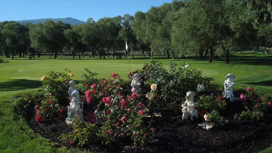 Michaelbrook GC