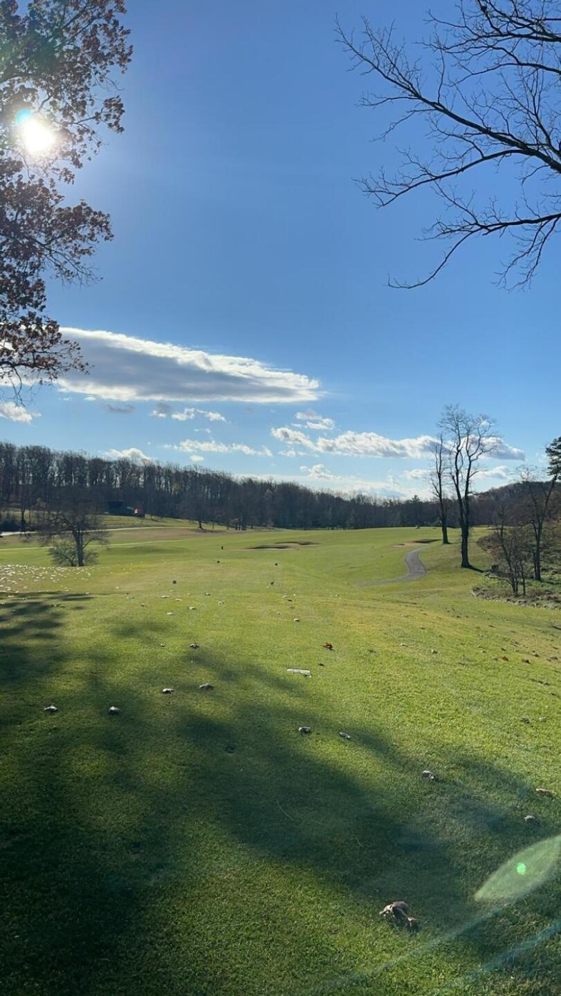 (Photo submitted by Sauce59 on 11/15/2024)