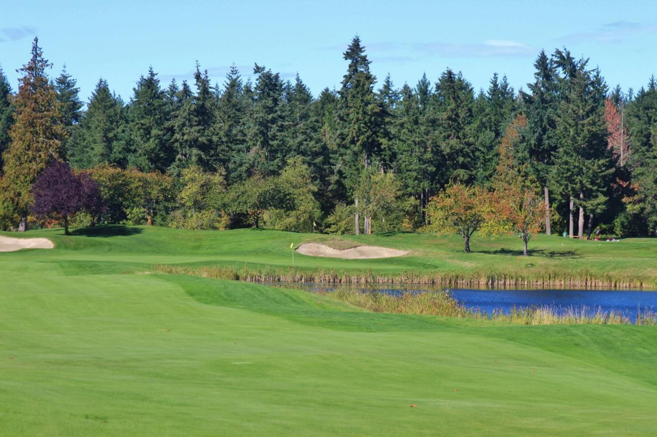 Hole 5. (Photo submitted by JasonDeeganGA on 10/08/2018)