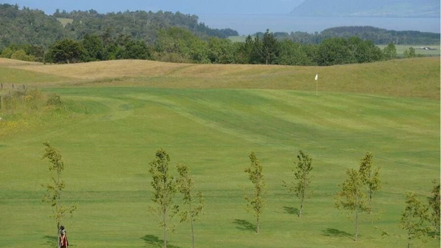 Patagonia Virgin GC