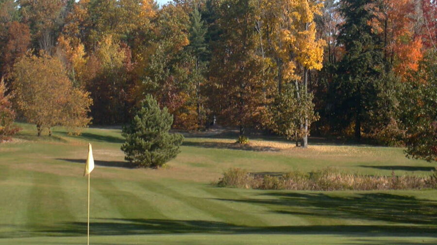 Dimmock Hill GC: #12