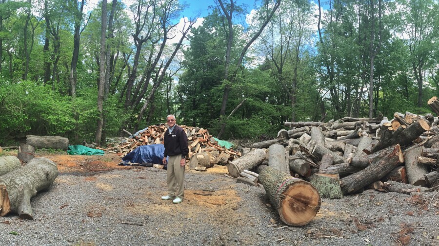 Ginella's Journeys: 2016 in Pictures - Oakmont