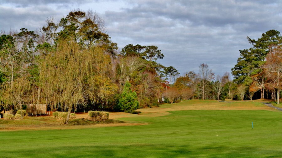 Belvedere CC