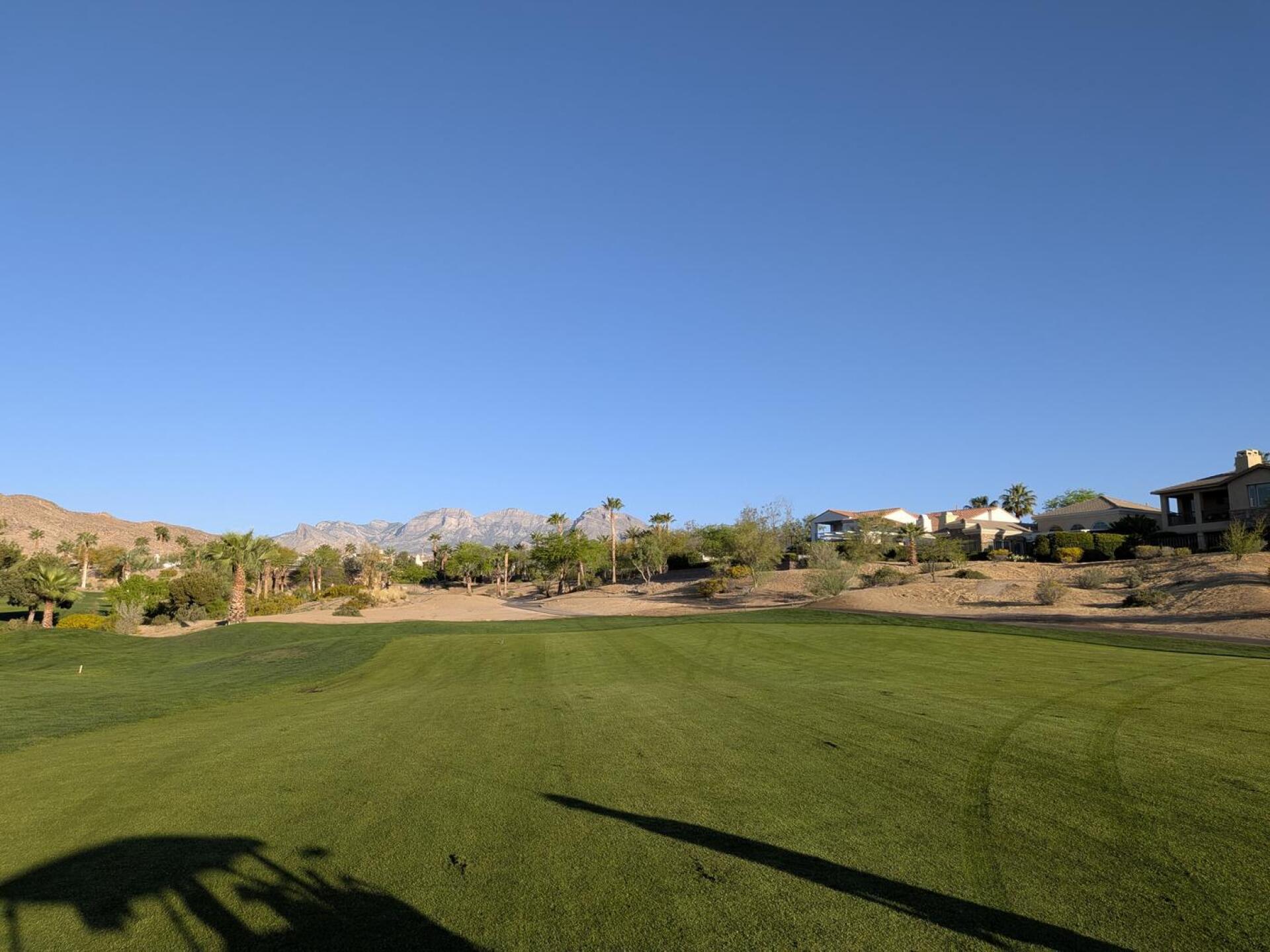 (Photo submitted by u314164367539 on 03/27/2026)