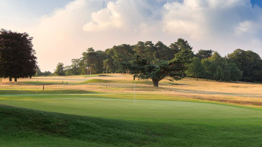 Wollaton Park GC: #16