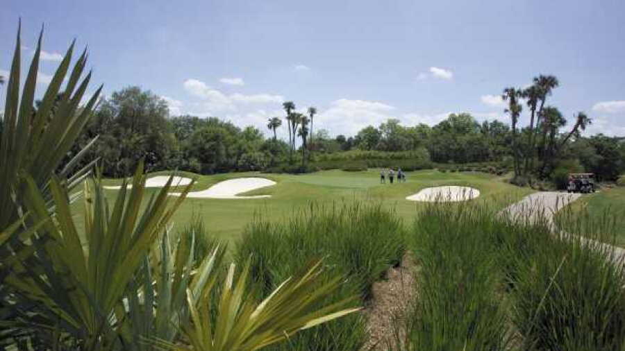 Old Orange at Verandah: #17