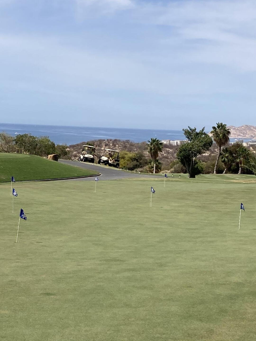 The putting green (Photo submitted by migrator on 04/30/2021)
